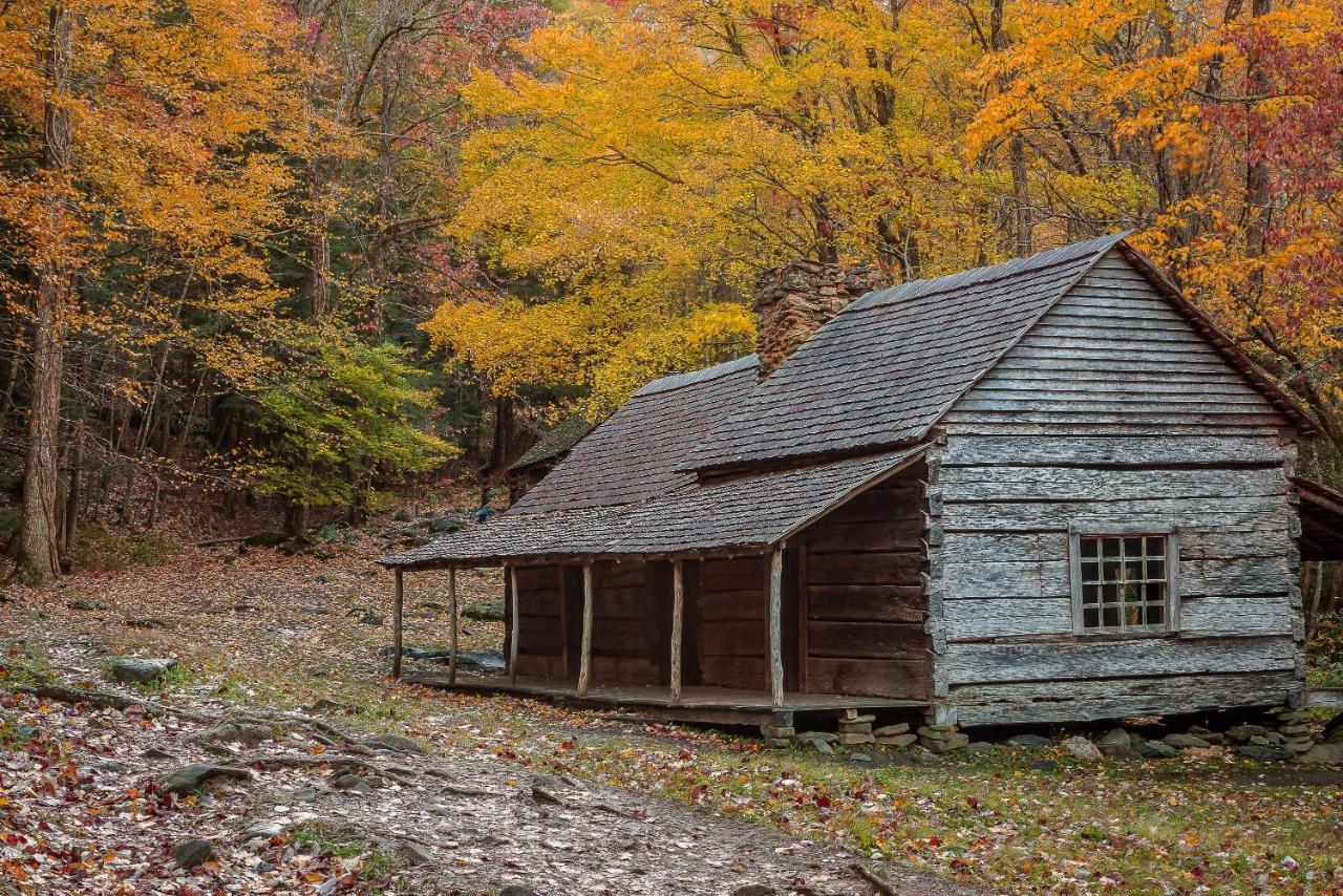 Villa Lazy Bear Den Sevierville Exterior foto